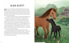 Lake Press - A Treasury of Classic Stories