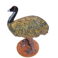 Science & Nature - Animals of Australia Small Australian Birds Assorted Styles