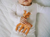 Sophie La Girafe - Fanfan the Fawn