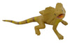 Science & Nature - Animals of Australia Small Australian Frogs & Reptiles Assorted Styles