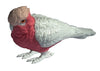 Science & Nature - Animals of Australia Small Australian Birds Assorted Styles