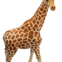 Science & Nature - Small Wild Animals Assorted Styles