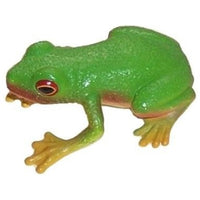 Science & Nature - Animals of Australia Small Australian Frogs & Reptiles Assorted Styles
