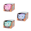 Discovery Zone - Cuddle Kitty