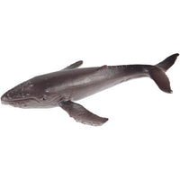 Science & Nature - Animals of Australia Small Australian Sealife Assorted Styles