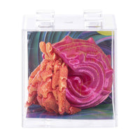 Discovery Zone - 3D Sensory Sealife Assorted Styles