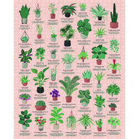 Ridley's Games - Puzzle 1000 piece House Plants