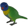 Science & Nature - Animals of Australia Small Australian Birds Assorted Styles