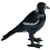 Science & Nature - Animals of Australia Small Australian Birds Assorted Styles