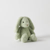 Jiggle & Giggle - Bunny  Assorted Colours Small