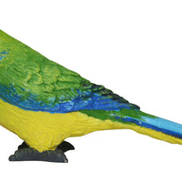 Science & Nature - Animals of Australia Small Australian Birds Assorted Styles