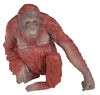 Science & Nature - Small Wild Animals Assorted Styles