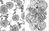Lake Press - Colour Vibes Adult Colouring Book Botanical
