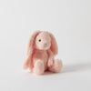 Jiggle & Giggle - Bunny  Assorted Colours Small