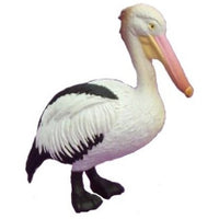 Science & Nature - Animals of Australia Small Australian Birds Assorted Styles