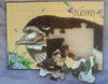Sarah Prince - Puzzle 12 piece Australian Animal Babies Assorted Styles