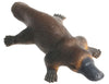 Science & Nature - Animals of Australia Small Australian Animals Assorted Styles