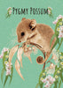 Sarah Prince - Puzzle 12 piece Australian Animal Babies Assorted Styles