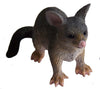 Science & Nature - Animals of Australia Small Australian Animals Assorted Styles