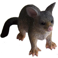 Science & Nature - Animals of Australia Small Australian Animals Assorted Styles