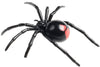 Science & Nature - Animals of Australia Small Australian Arachnids Assorted Styles