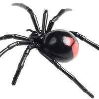 Science & Nature - Animals of Australia Small Australian Arachnids Assorted Styles