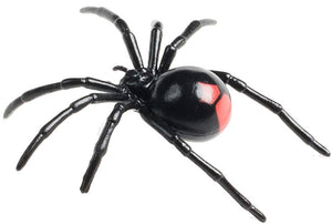 Science & Nature - Animals of Australia Small Australian Arachnids Assorted Styles