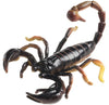 Science & Nature - Animals of Australia Small Australian Arachnids Assorted Styles