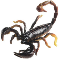 Science & Nature - Animals of Australia Small Australian Arachnids Assorted Styles