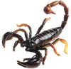 Science & Nature - Animals of Australia Small Australian Arachnids Assorted Styles