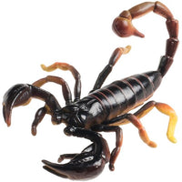 Science & Nature - Animals of Australia Small Australian Arachnids Assorted Styles