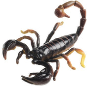 Science & Nature - Animals of Australia Small Australian Arachnids Assorted Styles