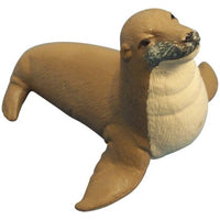Science & Nature - Animals of Australia Small Australian Sealife Assorted Styles