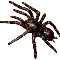 Science & Nature - Animals of Australia Small Australian Arachnids Assorted Styles