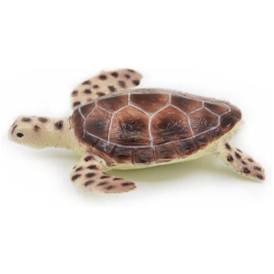 Science & Nature - Animals of Australia Small Australian Sealife Assorted Styles