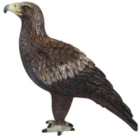 Science & Nature - Animals of Australia Small Australian Birds Assorted Styles