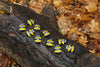 Yellow Door - Stones Honey Bee Number