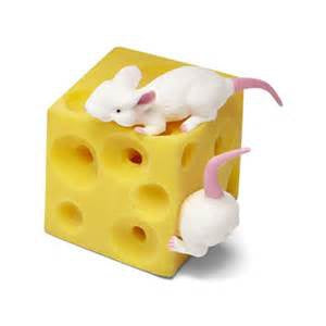 Stretchy Mice And Cheese