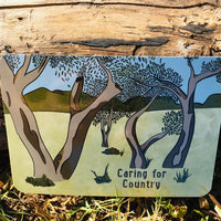 Riley Callie Resources - Aboriginal Topic Cards