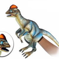 Hansa - Dilophosaurus Puppet