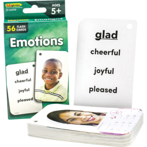 Teacher Created Resources - Emotions Flash Cards