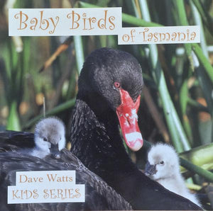 Dave Watts - Baby Birds of Tasmania