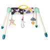 Taf Toys - Mini Moon Take To Play Baby Gym