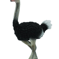 Collecta - Ostrich