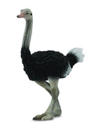 Collecta - Ostrich
