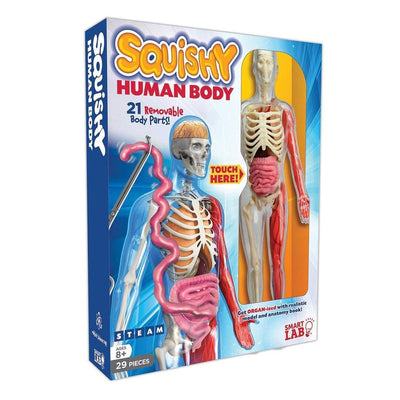 Smart Lab - Squishy Human Body