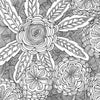 Peter Pauper - Studio Series Artist's Colouring Book Serenity