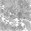 Peter Pauper - Studio Series Artist's Colouring Book Serenity