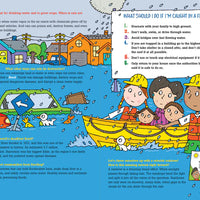 Peter Pauper - 100 Questions About Extreme Weather