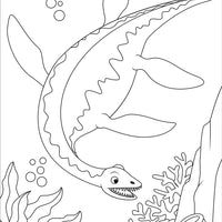 Peter Pauper - Colouring Book Dinosaurs